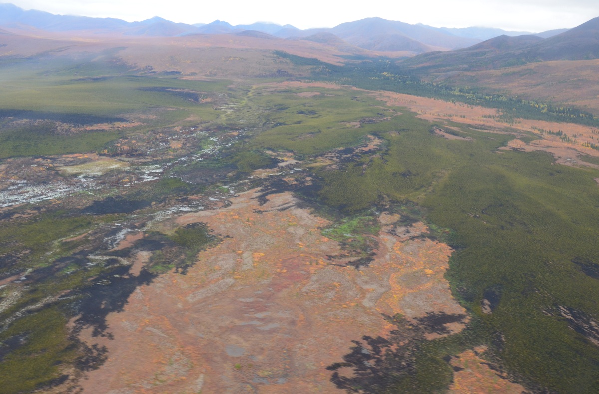 Recent burn in the Noatak National Preserve