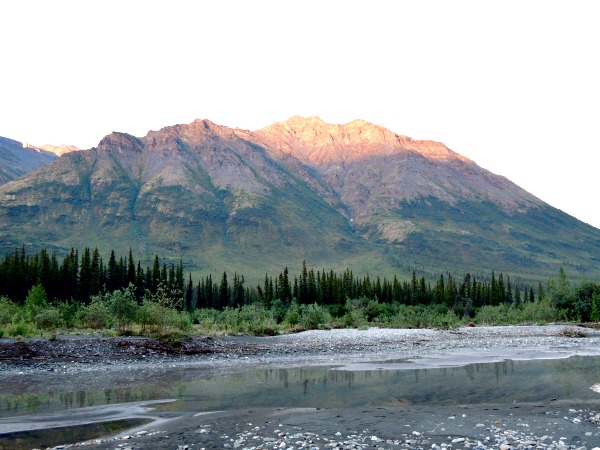 river and trees with mountain in the background