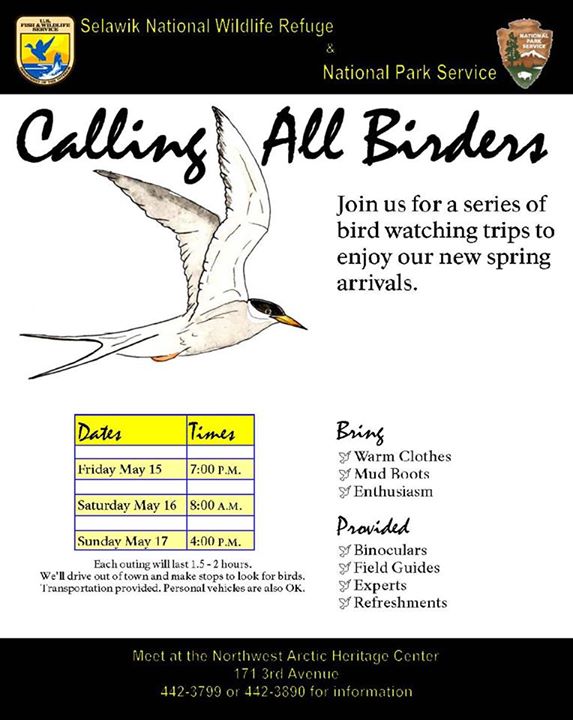 birdingtrip