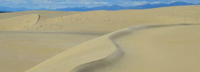 Great Kobuk Sand Dunes