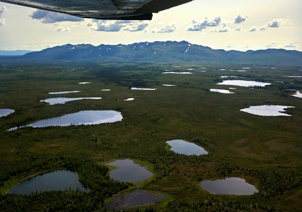 blue ponds in green tundra with airplane wing in the corner