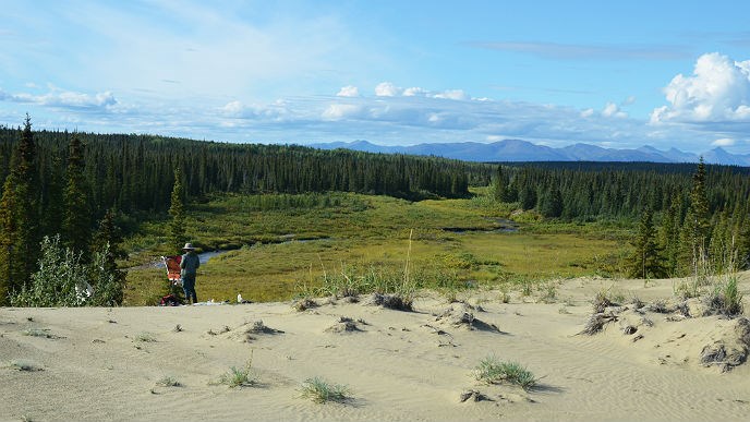 Artist paints her view of trees and tundra while standing on sand dunes