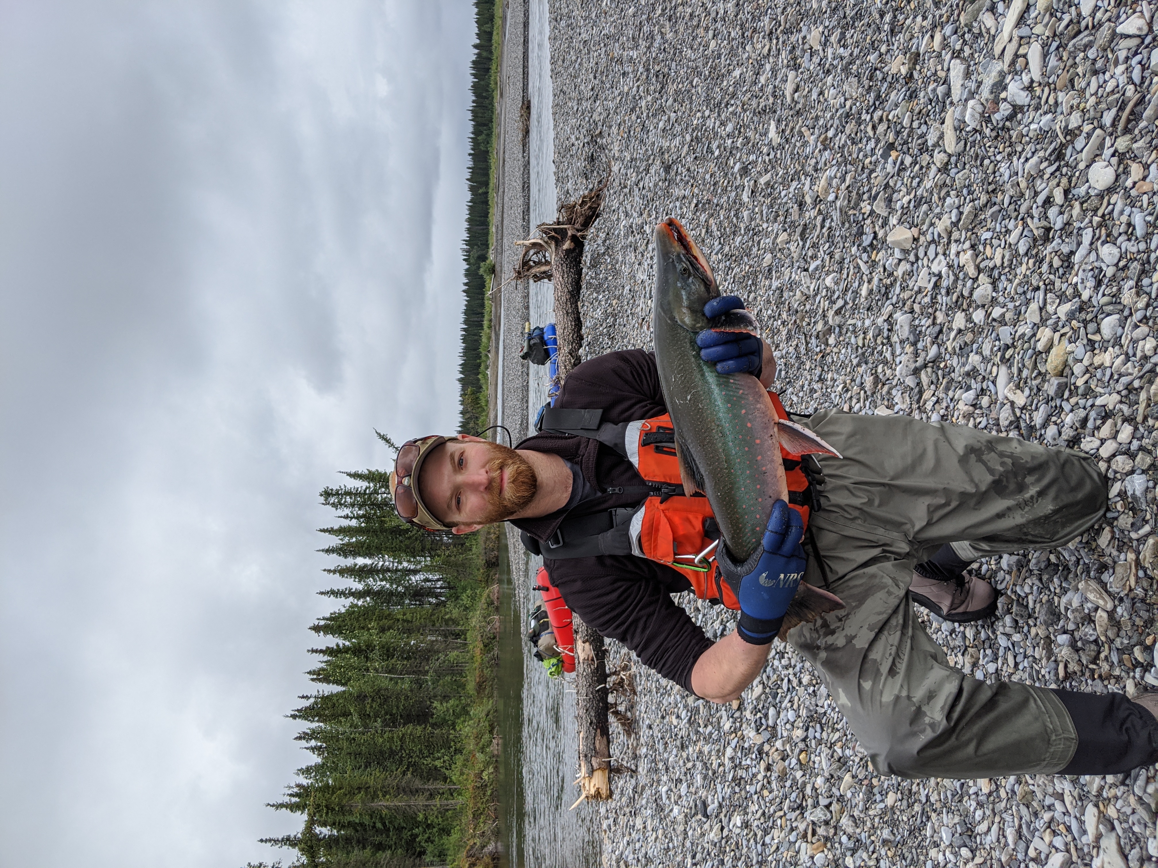 Man kneeling on gravel bar holds a green and pink fish. A river lined with trees is running in the background.