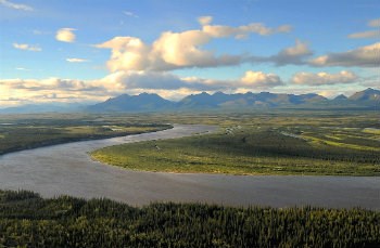 aerial view of river