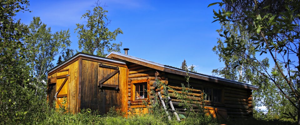 wooden cabin surrounded by trees