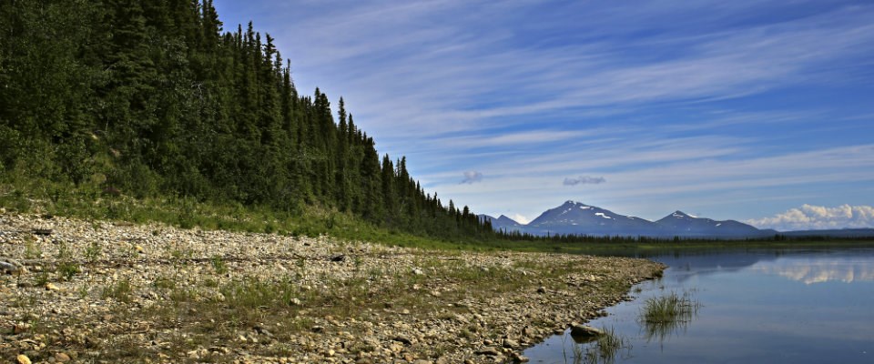 river and gravel beach with trees and mountain in distant background