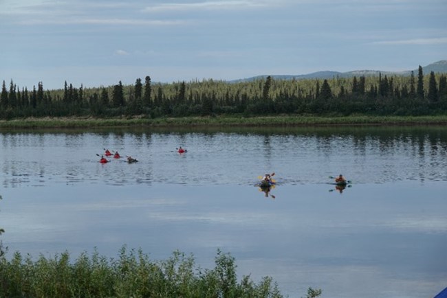 a group of 7 kayakers make their way across a placid body of water with evergreens and mountains in the distance.