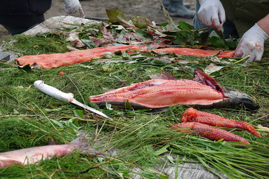 filets of freshly caught pink fish lay on grasses surrounded by knives