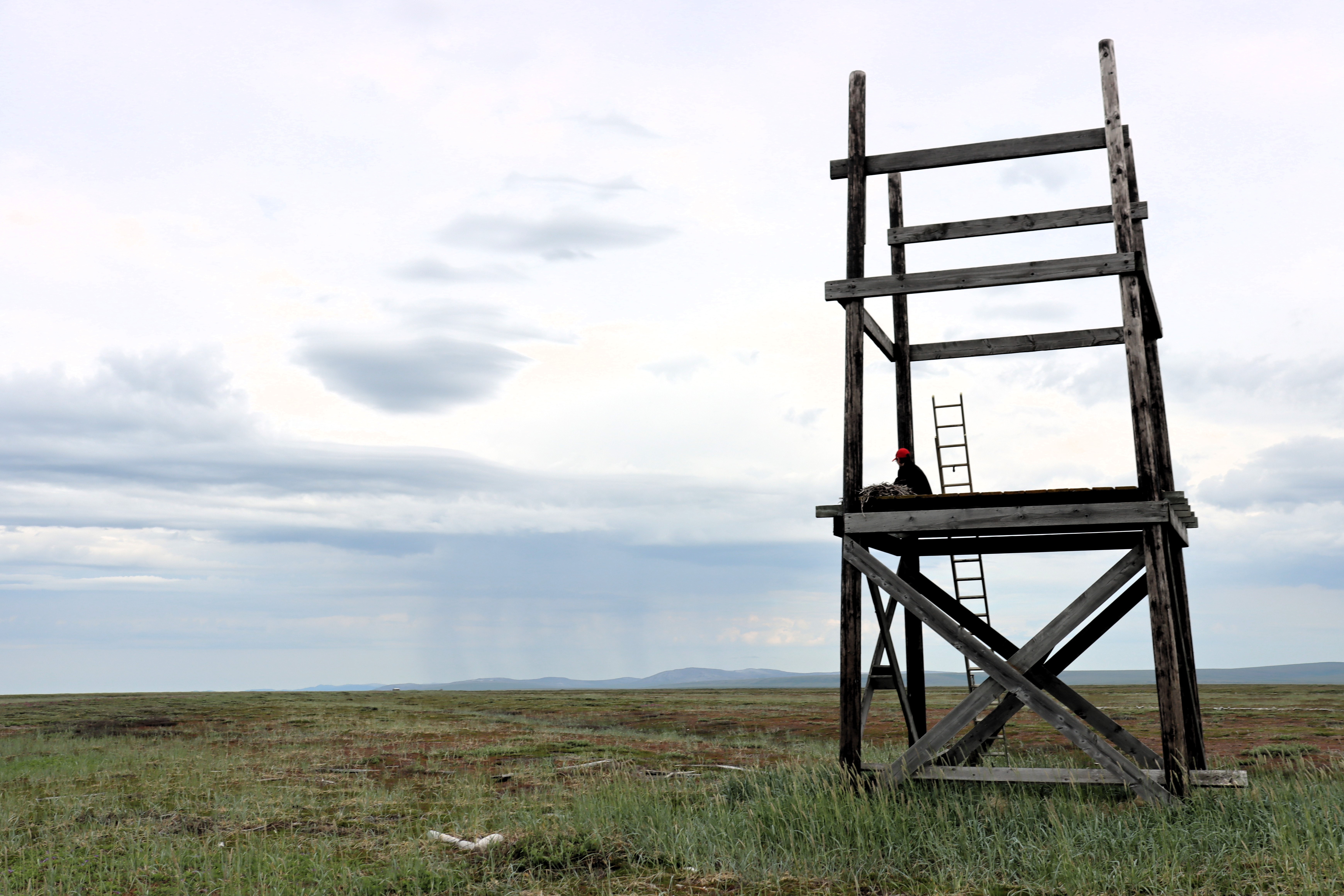 A wooden, open framed tower stands in foreground with a person looking a the distant horizon.