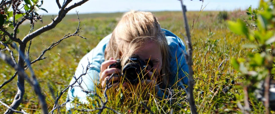 girl lying on grass with camera girl lying on grass with camera
