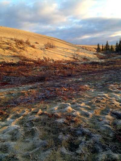 sand dunes and lichen in autumn sand dunes and lichen in autumn