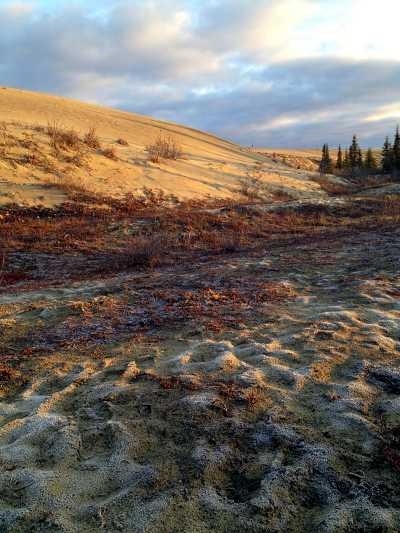 sand dunes and lichen in autumn