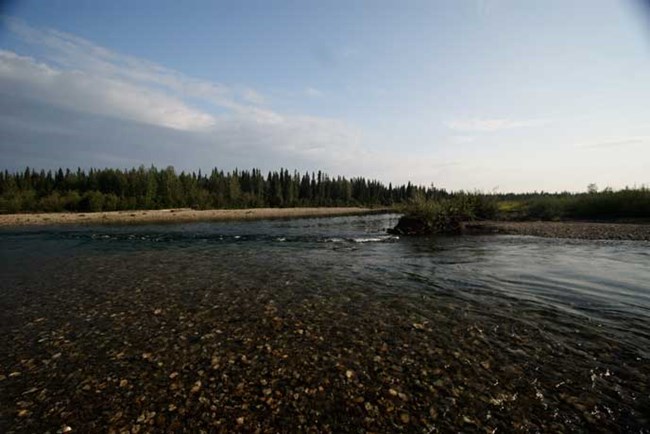 gravel bar along river