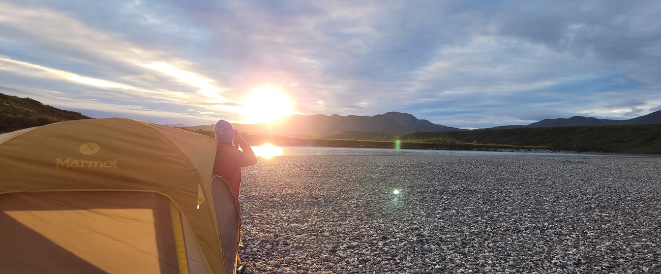 Person standing next to a tent on a gravel bar watching a bear through binoculars.