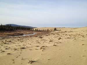 Creek bordering Kobuk Sand Dunes Creek bordering Kobuk Sand Dunes