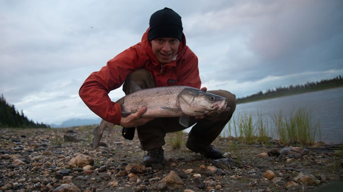 Fisherman shows camera his caught sheefish on riverbank