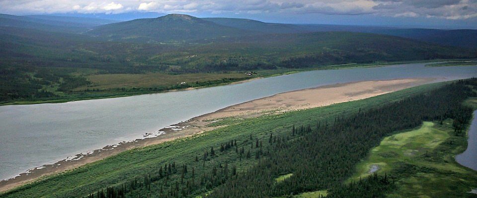 aerail view of river with green trees on a riverbank