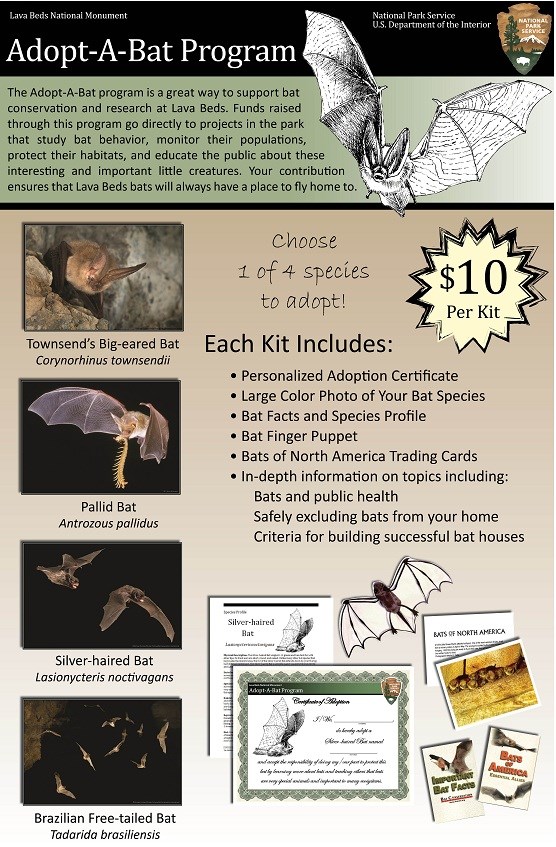 Adopt-A-Bat Poster Adopt-A-Bat Poster