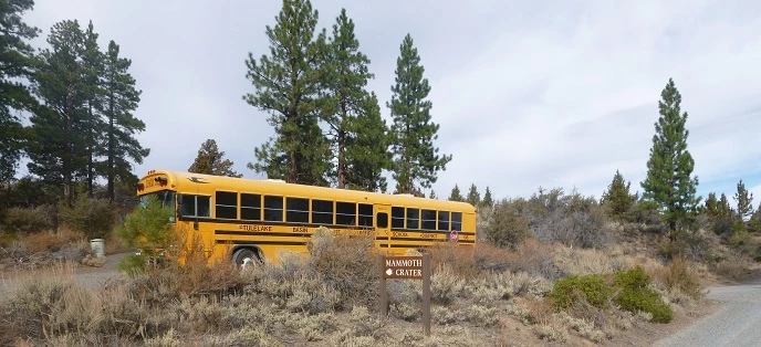 School bus