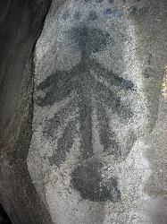 Charcoal pictograph with many lines radiating downwards from a central line with circles on both sides