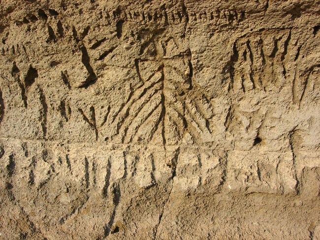 Petroglyphs featuring longlines and dashes in a rock wall