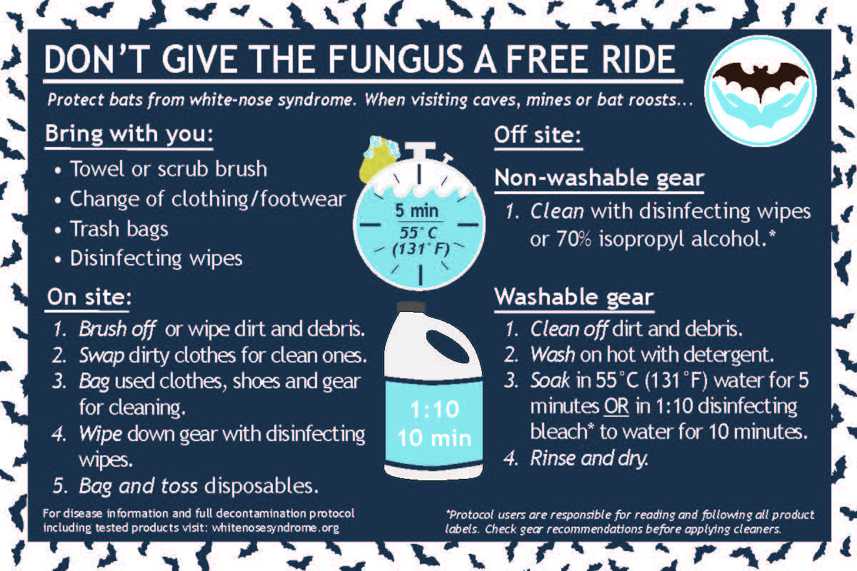 2025 Decon Postcard  4in by 7in