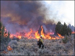 Firefighter at Big Nasty Prescribed Burn