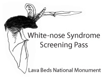 WNS Pass