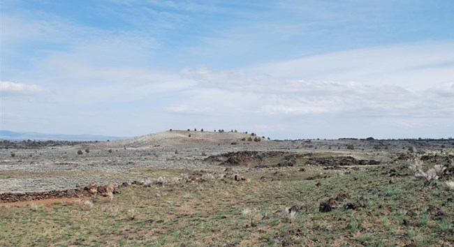 View of Thomas Wright Battlefield.