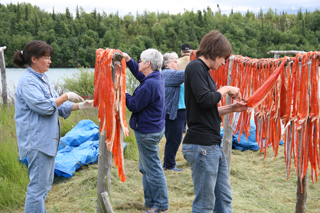 Modern day Dena'ina family tends to sockeye on a drying rack at fishcamp.