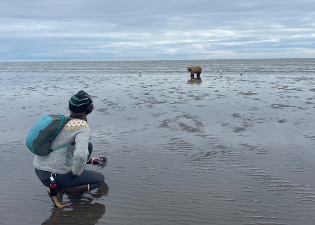 A woman crouches down on a sandy beach wearing headphones and holding a recording device with a brown bear and gulls in the distance.