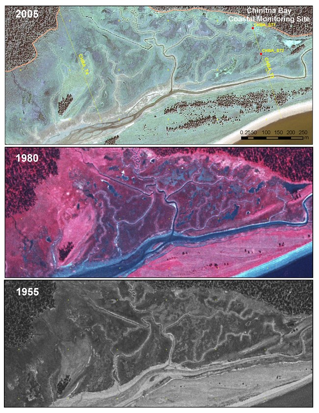3 aerial photographs of the same location at Chinitna Bay in 1995, 1980, and 2005 showing increased vegetation along the shore line