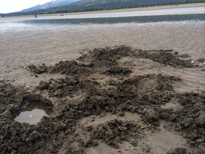 a sandy beach with numerous shallow holes dug in it a sandy beach with numerous shallow holes dug in it