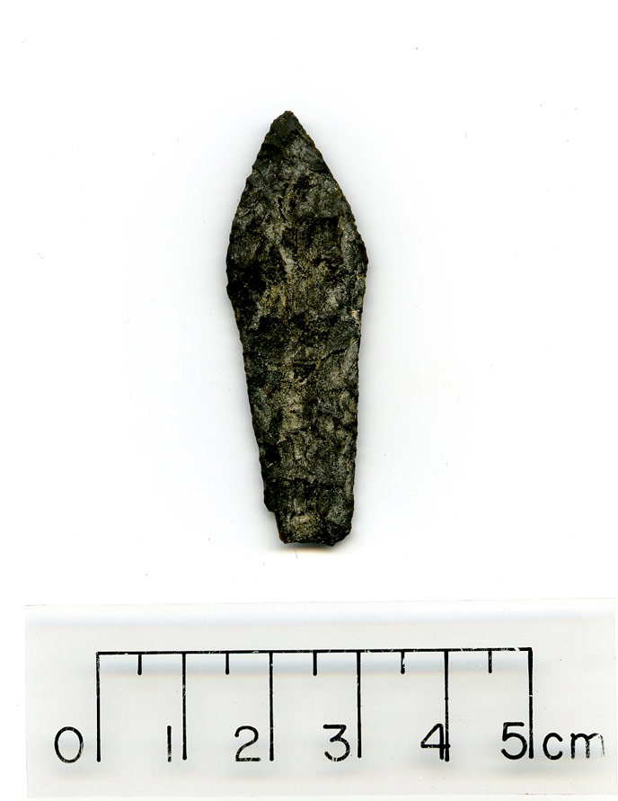 an arrowhead-shaped rock, around 5 cm long and 2 cm wide at its widest point