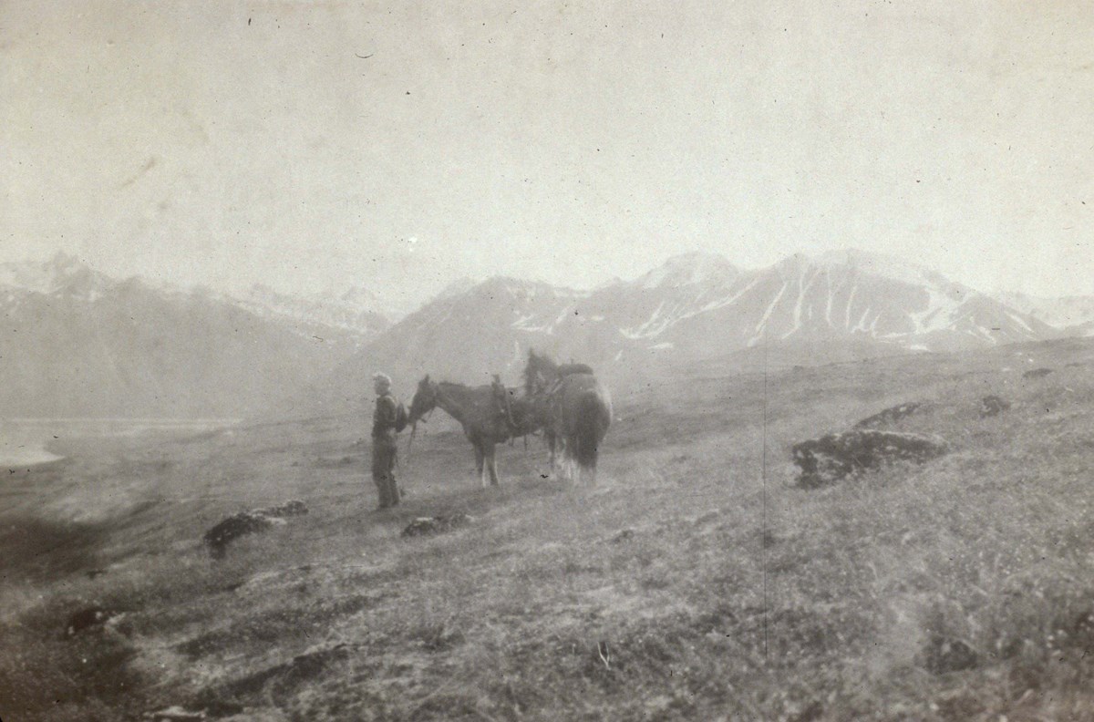 Man with two horses on a ridge overlooking Telaquana Lake. Historic image of a man on a hillside with two horses overlooking a lake.