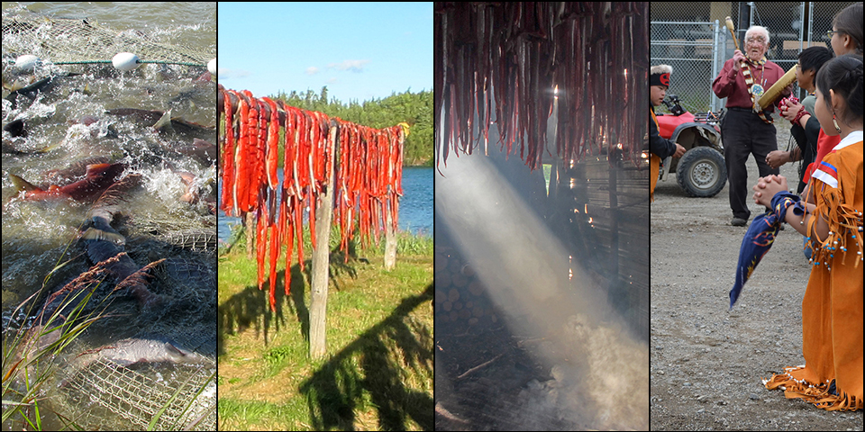 montage of four images; from left to right, showing salmon caught in a net, strips of salmon hanging on a wooden frame near a lake; strips of salmon hanging in a smoky room; and Alaska Native youth kneeling in two rows before an elder playing a drum. montage of four images; from left to right, showing salmon caught in a net, strips of salmon hanging on a wooden frame near a lake; strips of salmon hanging in a smoky room; and Alaska Native youth kneeling in two rows before an elder playing a drum.