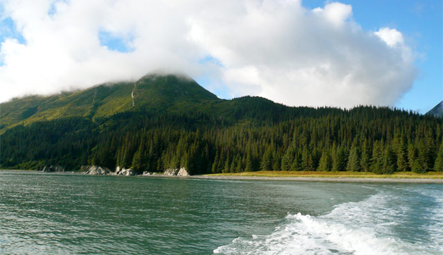 small waves washing up on a rocky beach, thick forest rising up to cloud-covered hills in the background small waves washing up on a rocky beach, thick forest rising up to cloud-covered hills in the background