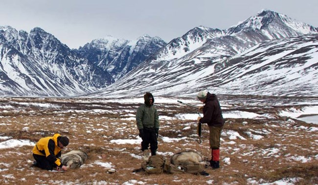 three people standing over unconscious wolves in a mountainous landscape