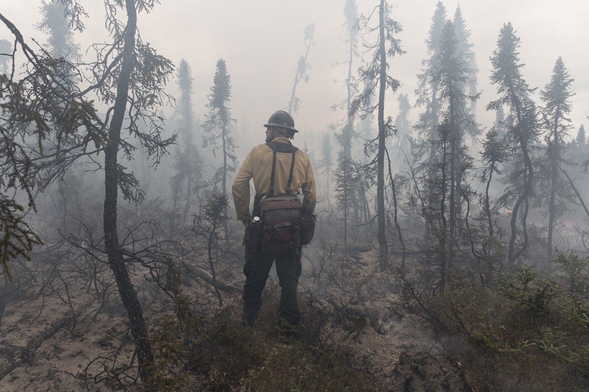 Firefighter stands in smoldering forest