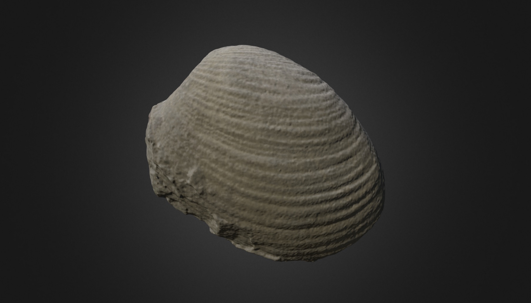 Fossils Lake Clark National Park & Preserve (U.S. National Park Service)