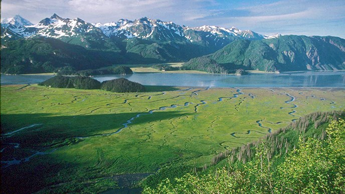 a wide, green salt marsh crisscrossed by multiple winding streams and bounded on one side by the ocean a wide, green salt marsh crisscrossed by multiple winding streams and bounded on one side by the ocean