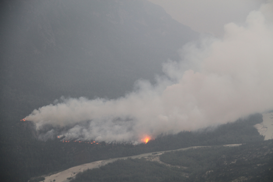 Currant_Creek_Fire_June_26_2013_08