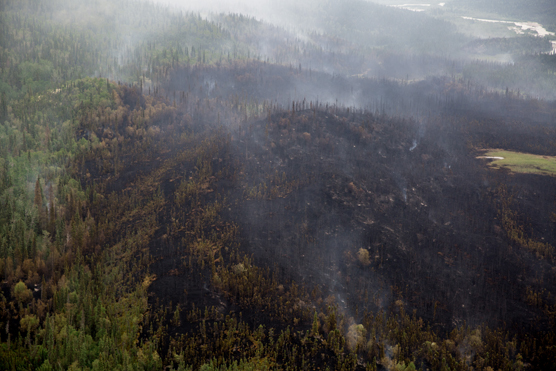 LACL_CurrantCreekFire_20130627_YasunoriMatsui