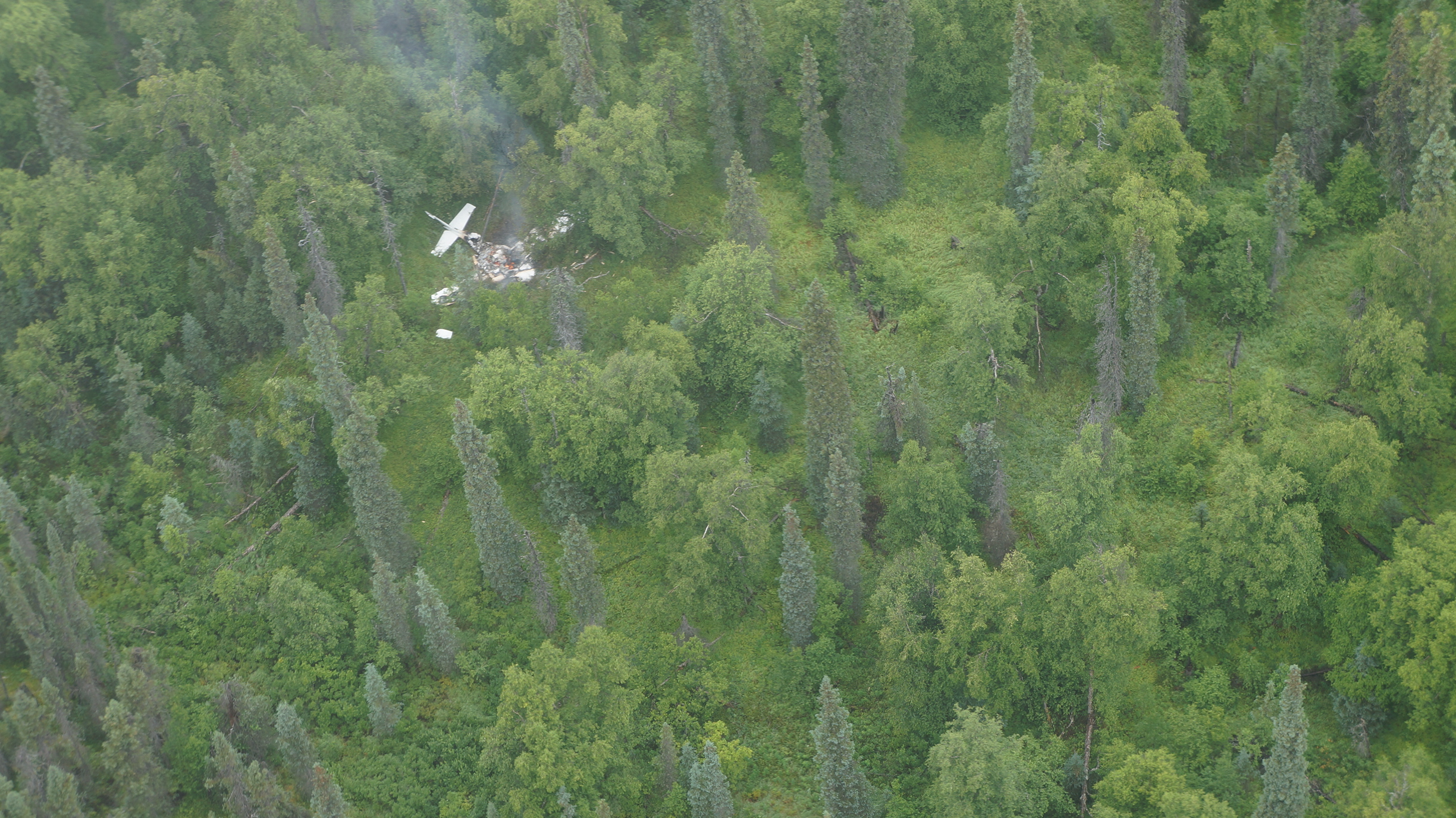An aerial image of a broken plane in a forested area