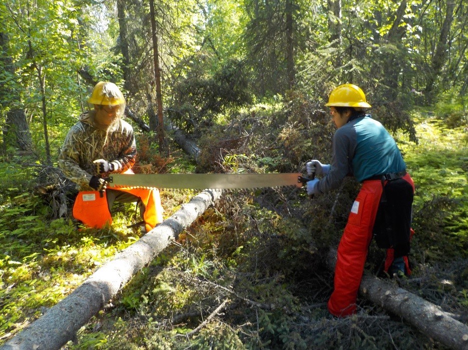 SCA Trail Crew members cut a large log two men in hardhats use a large bow saw to cut a tree log