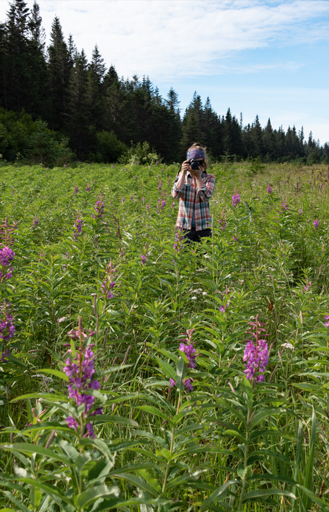 A woman wearing a pink, blue, and white plaid shirt holds up a camera that covers her face. She is standing in a green field with tall purple and green plants with tall green trees in the background. It is a blue and partially cloudy day.