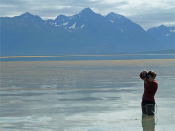 Spruce needle rust spores collect on Lake Clark giving the lake an orange sheen.