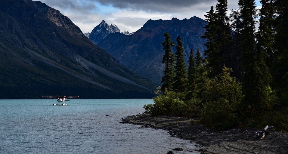 A red and white floatplane taxiing on a blue lake with a mountains and spruce tree-lined shoreline