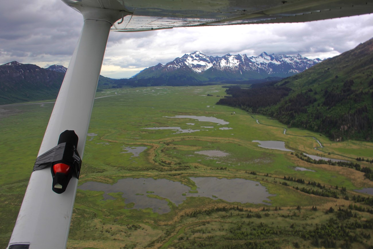 bear spray canister duct taped to a plane wing