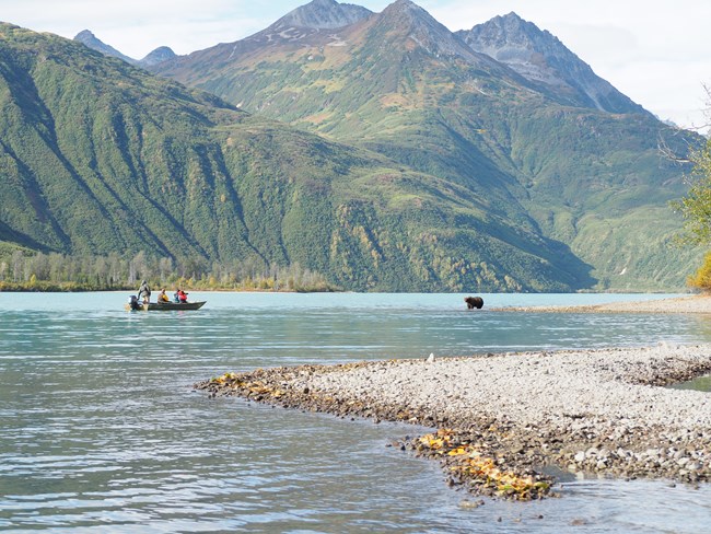 a boat of people mid-lake watches a bear on shore